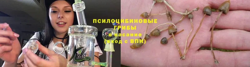 hydra ССЫЛКА  Нефтекумск  Галлюциногенные грибы Magic Shrooms 